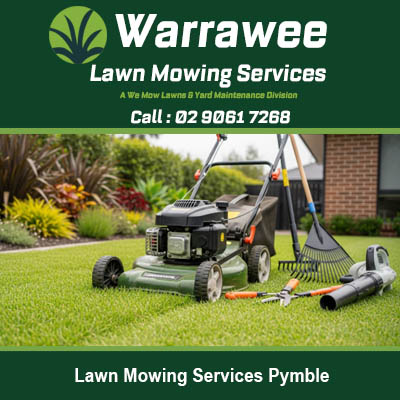 Professional lawn mowing equipment and tools on green grass in Pymble