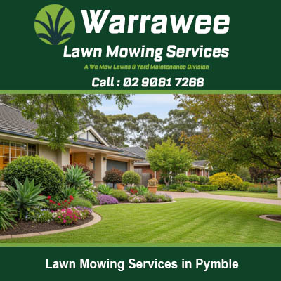 Expert lawn mowing creating neat striped pattern on front yard in Pymble New South Wales