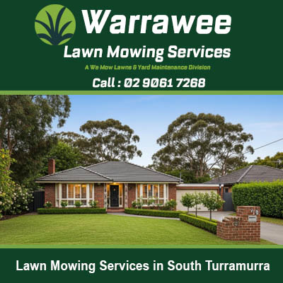 Beautifully manicured grass showing quality lawn stripes at property in South Turramurra Sydney