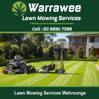 Ride on mower and tools for quality lawn care service at Wahroonga Sydney