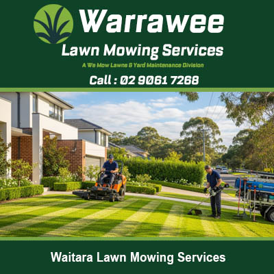 Professional lawn mowing crew with ride on mower working on large residential lawn in Waitara NSW