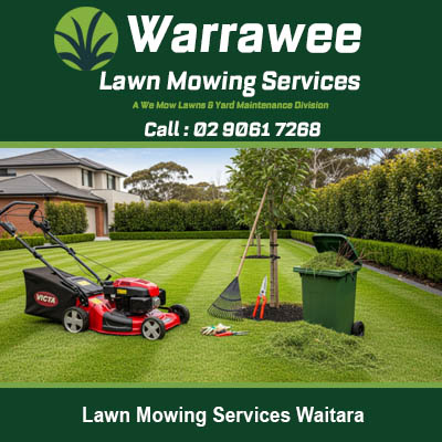 Lawn mowing equipment with grass catcher and tools on residential property in Waitara
