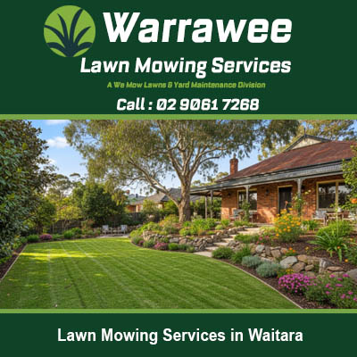 Professionally striped lawn alongside vibrant flower gardens at residential home in Waitara NSW