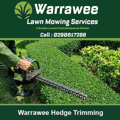 Worker using an electric hedge trimmer in Warrawee