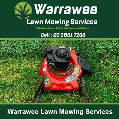 Red walk behind lawn mower on green grass in Warrawee
