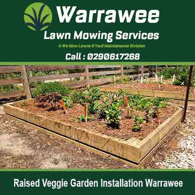 Wooden raised garden beds with vegetables in Warrawee
