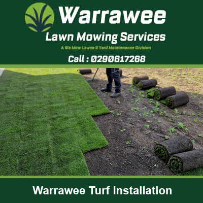 Workers laying rolls of natural grass turf in Warrawee