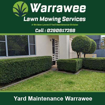 Well-maintained front yard with trimmed hedges in Warrawee